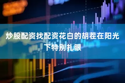 炒股配资找配资花白的胡茬在阳光下特别扎眼