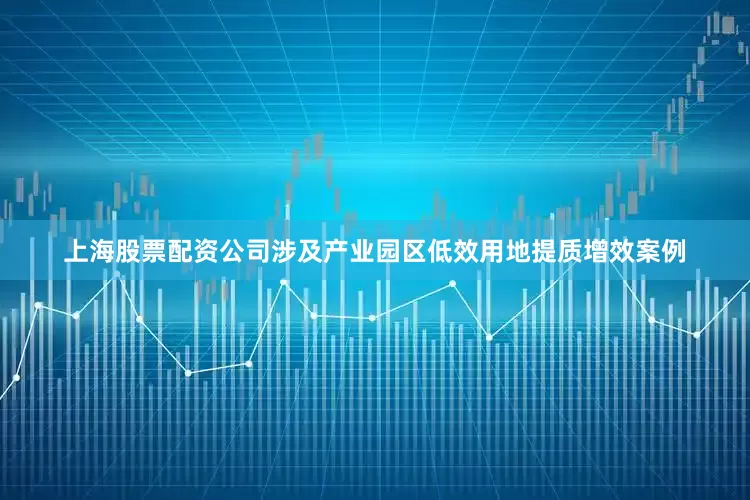 上海股票配资公司涉及产业园区低效用地提质增效案例