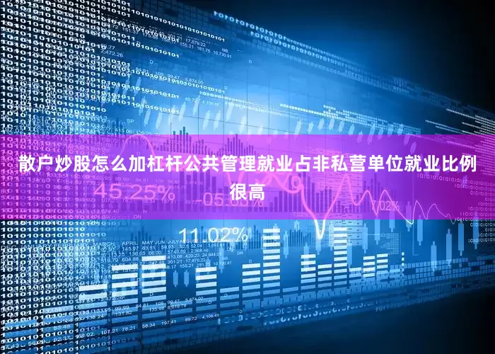 散户炒股怎么加杠杆公共管理就业占非私营单位就业比例很高