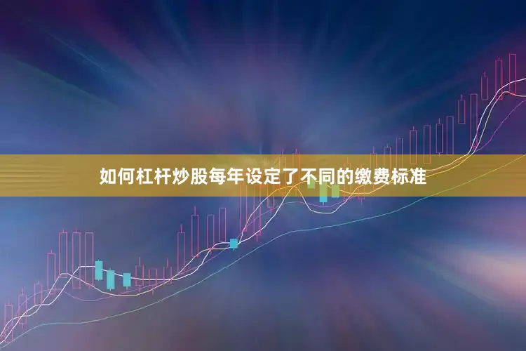 如何杠杆炒股每年设定了不同的缴费标准